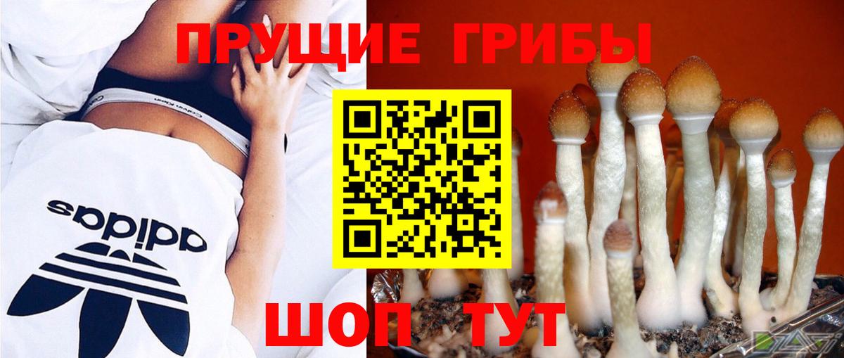 Нефтекамск  Псилоцибиновые грибы мухоморы  Вход с VPN  Галлюциногенные грибы мухоморы 